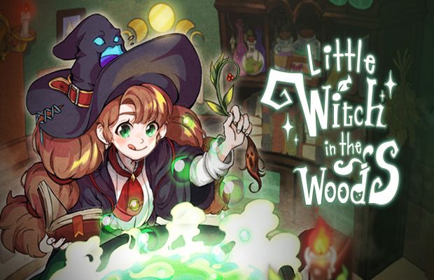 Lire la suite à propos de l’article Solution pour Little Witch in the Woods, promenons nous dans les bois