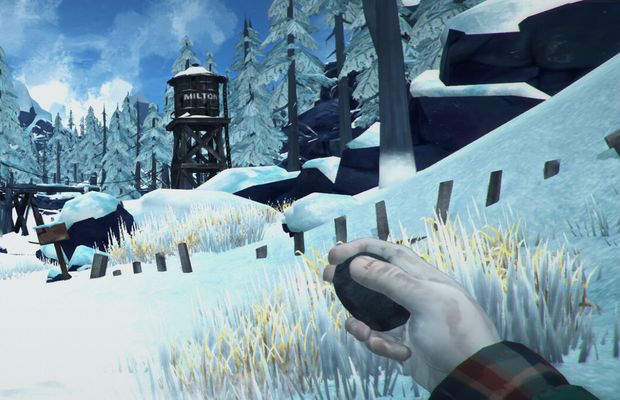solution The Long Dark b