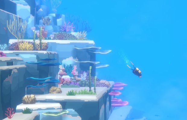 dave diver mobile solution b